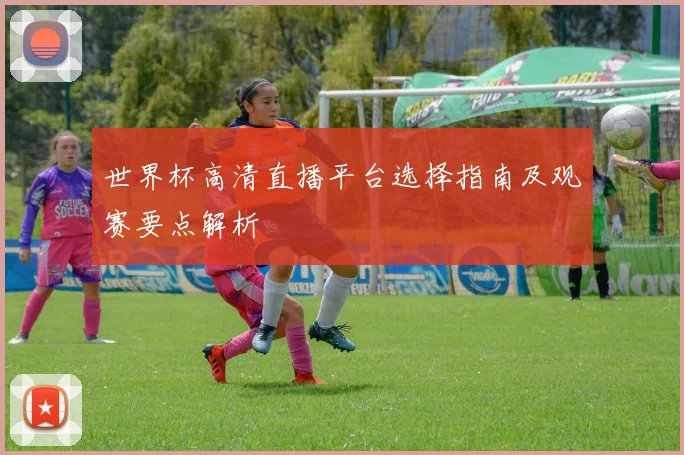 世界杯高清直播平台选择指南及观赛要点解析