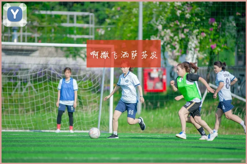 2017年女足世界杯综述 强队晋级路径与决赛结果全解析