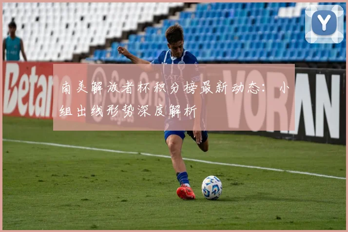 南美解放者杯积分榜最新动态：小组出线形势深度解析