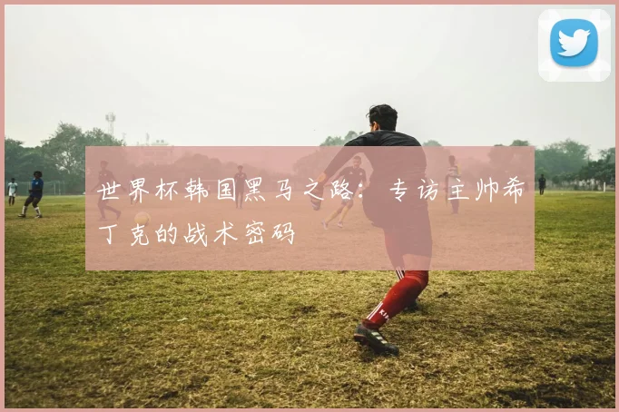 世界杯韩国黑马之路:专访主帅希丁克的战术密码