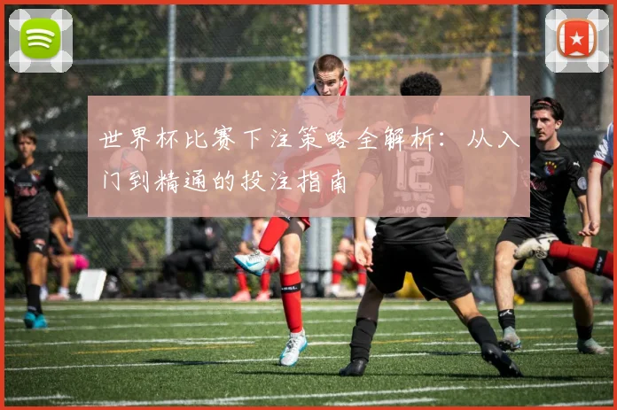 世界杯比赛下注策略全解析：从入门到精通的投注指南