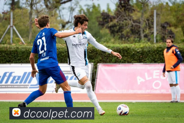 九游手机官网入口APP 体育赛事宣传图